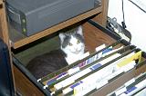 20040304_Kitty Kat_052